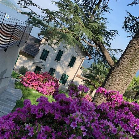 Giardini Magnolia Apartman Belgirate Kültér fotó