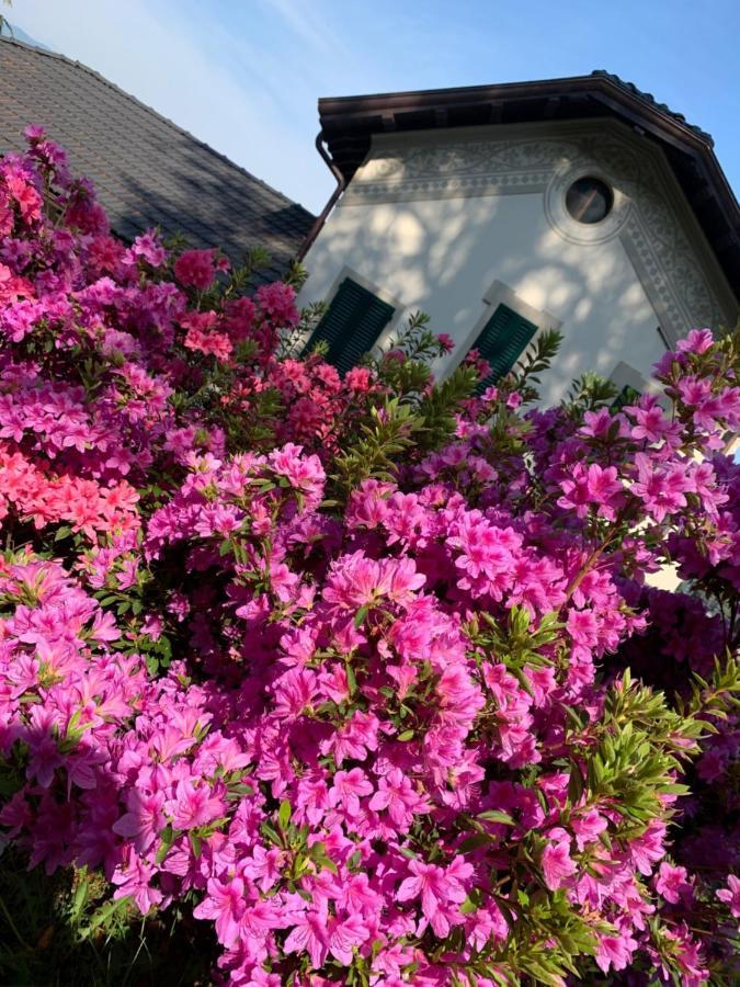 Giardini Magnolia Apartman Belgirate Kültér fotó