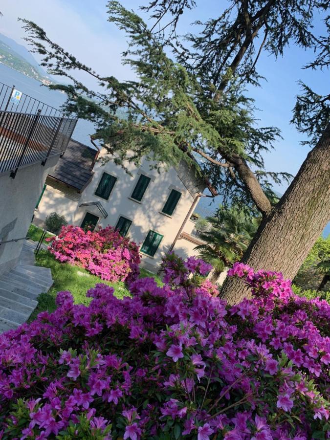 Giardini Magnolia Apartman Belgirate Kültér fotó