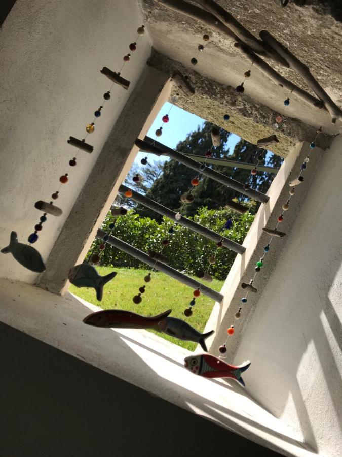 Giardini Magnolia Apartman Belgirate Kültér fotó