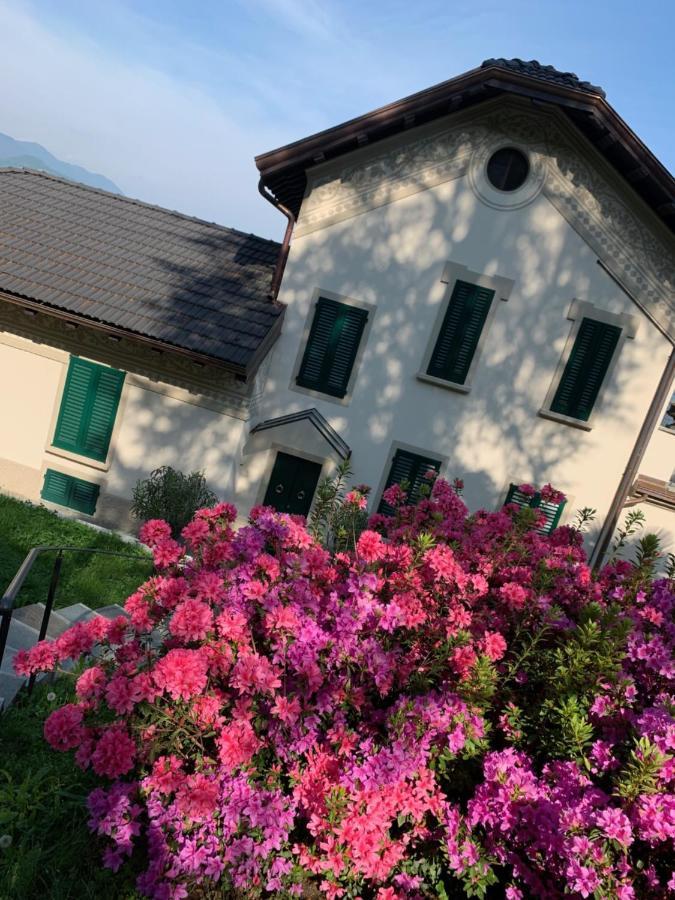 Giardini Magnolia Apartman Belgirate Kültér fotó