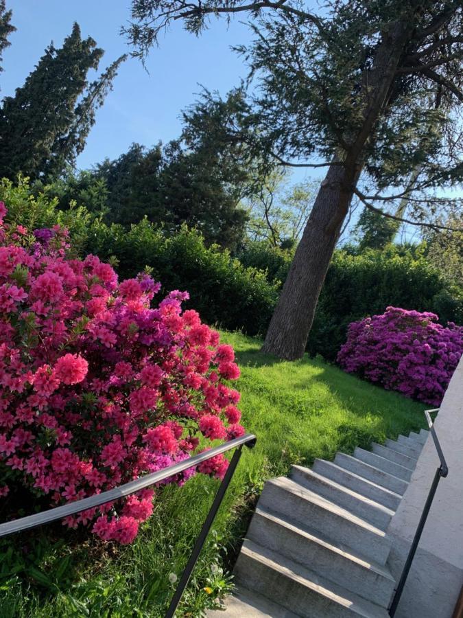 Giardini Magnolia Apartman Belgirate Kültér fotó